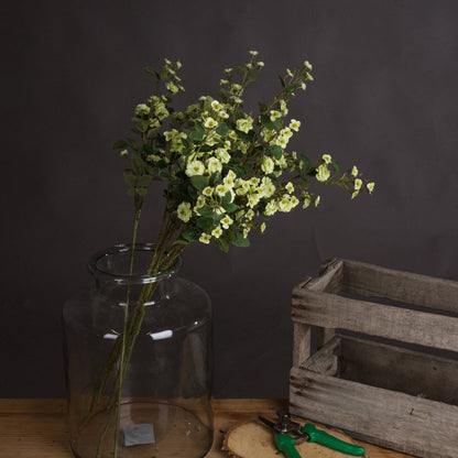 Green Wild Meadow Rose